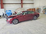 Honda Accord 2013