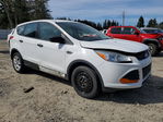 Ford Escape 2016