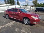 Lexus ES 2010