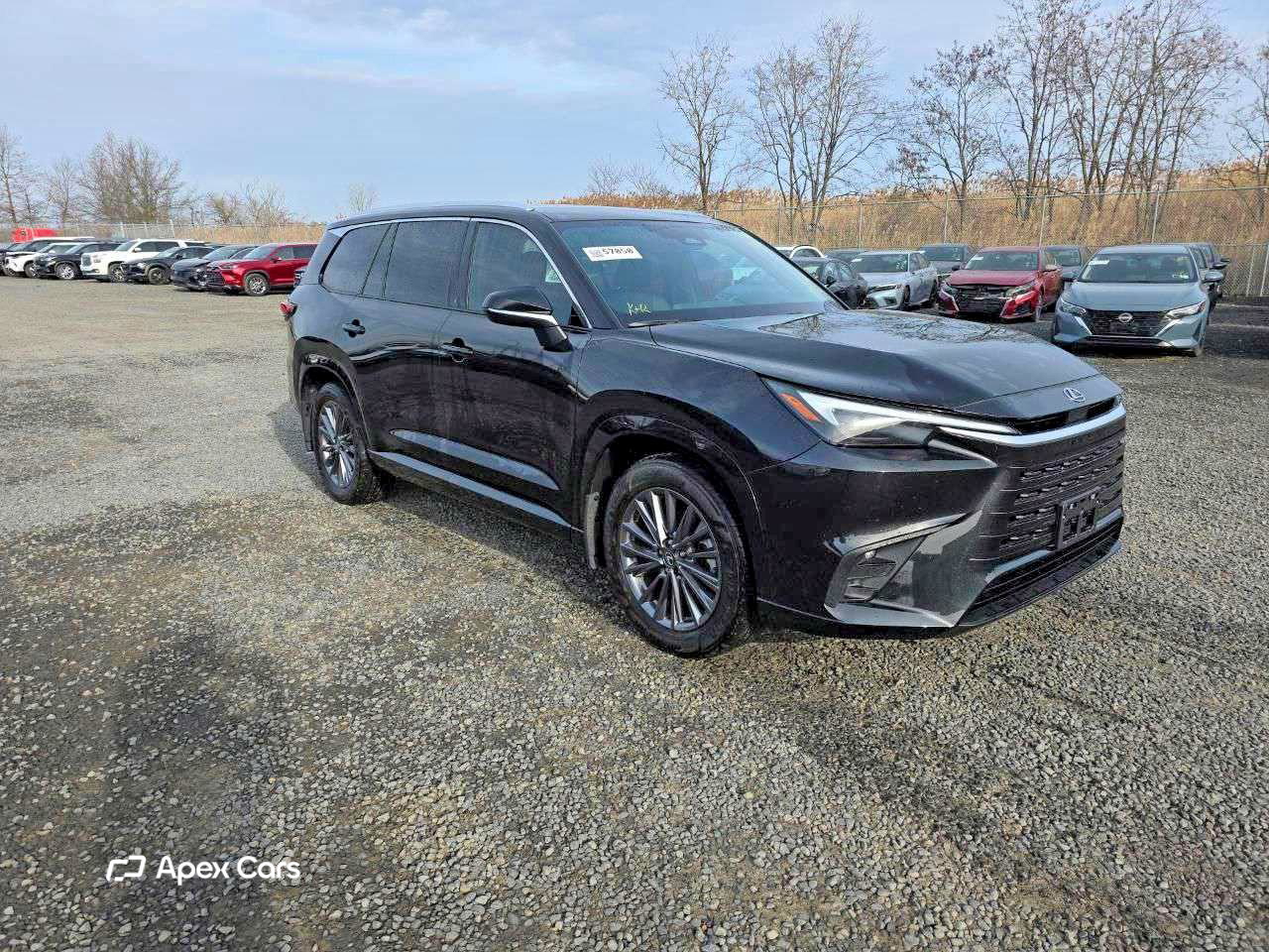 Lexus TX 2024