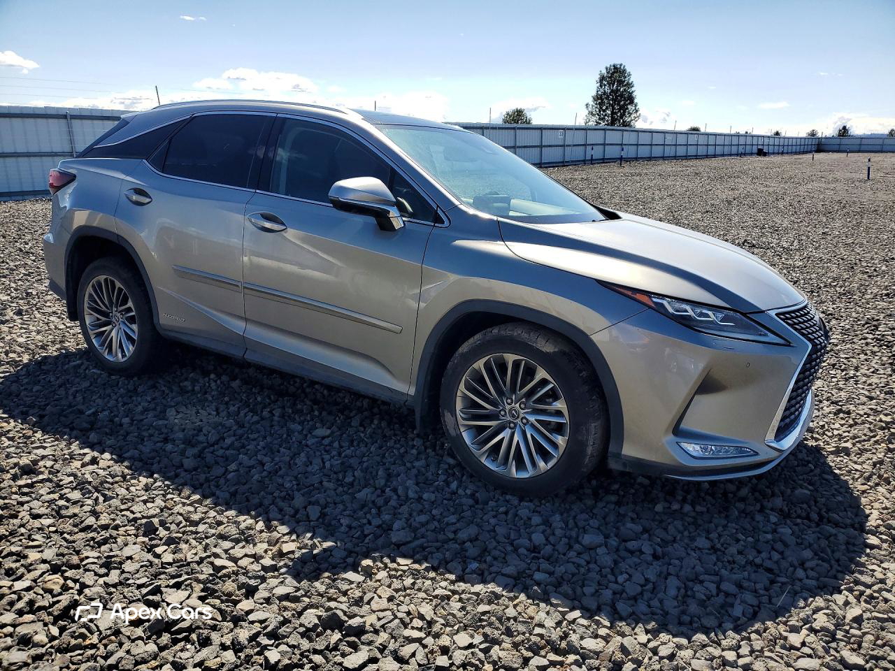 Lexus RX 2020