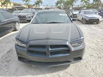 Dodge Charger 2013