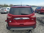 Ford Escape 2013