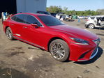 Lexus  2019