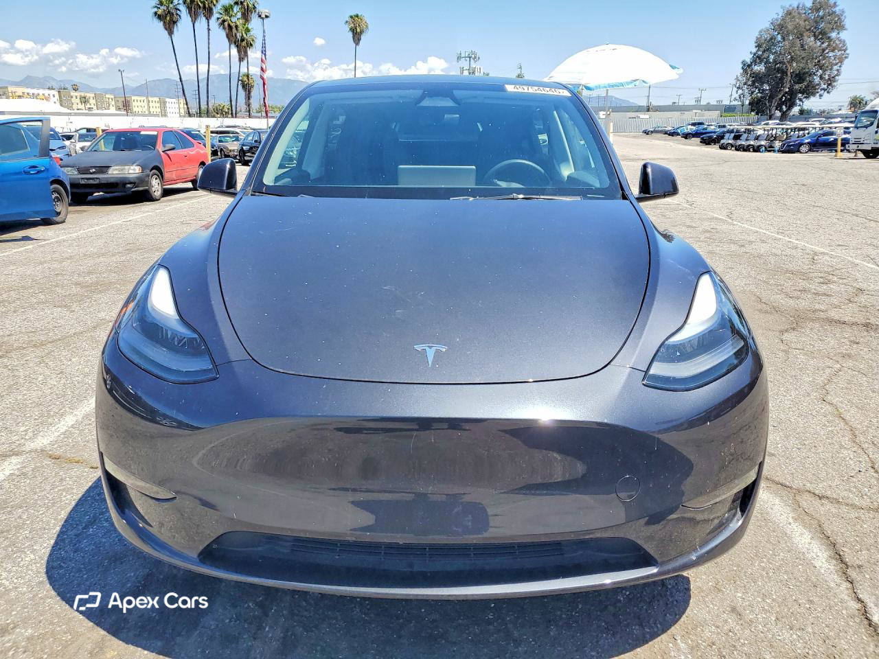 Tesla Model Y 2024