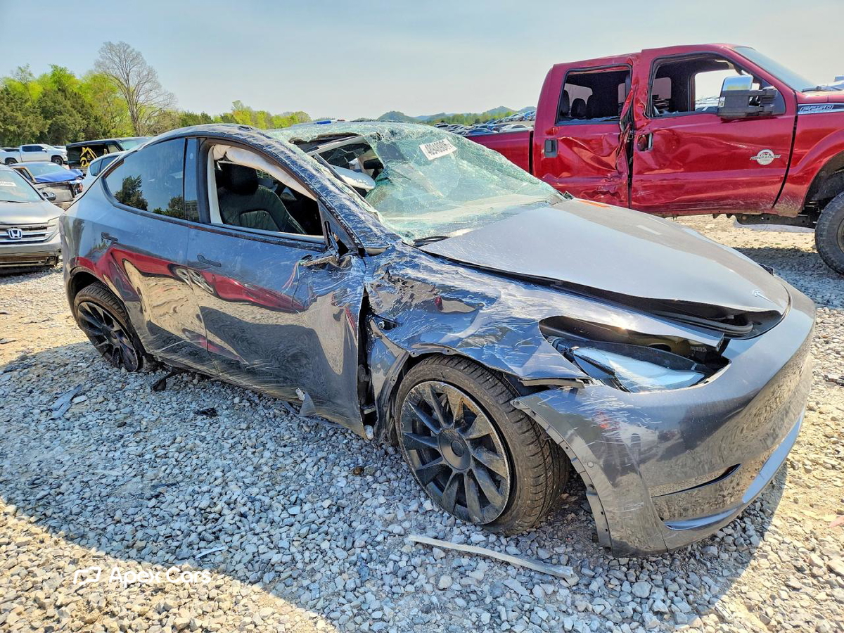 Tesla Model Y 2021