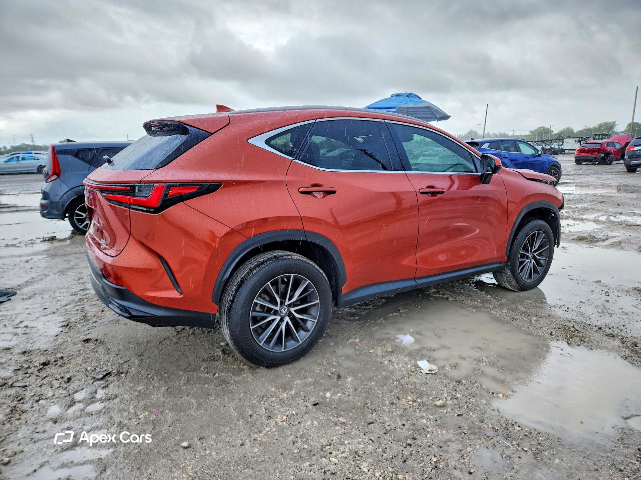 Lexus NX 2023