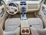 Ford Escape 2011