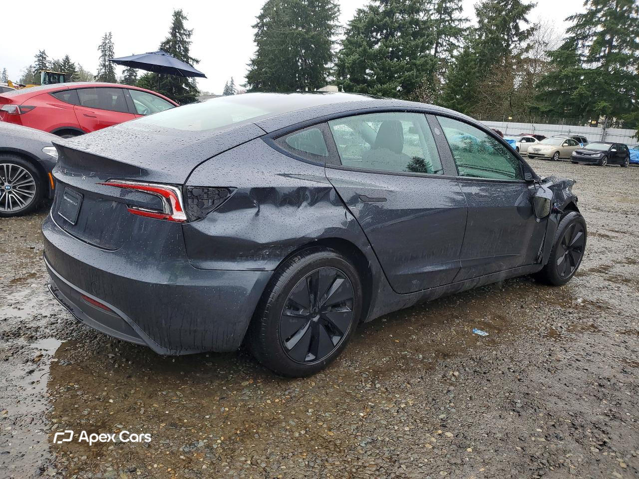 Tesla Model 3 2024