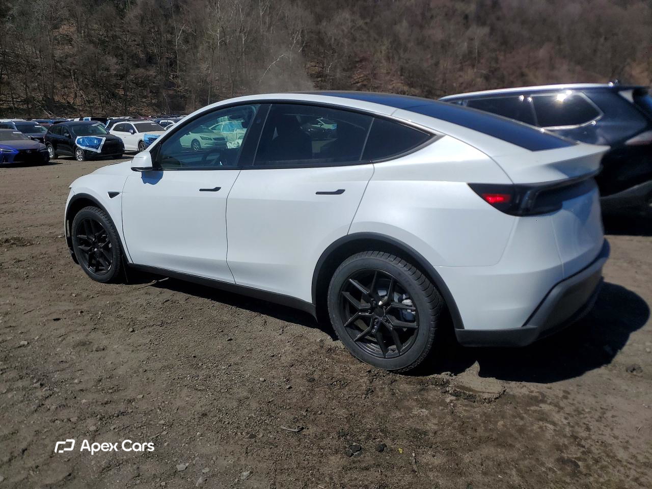 Tesla Model Y 2026