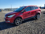 Ford Escape 2014