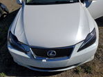 Lexus IS 2008