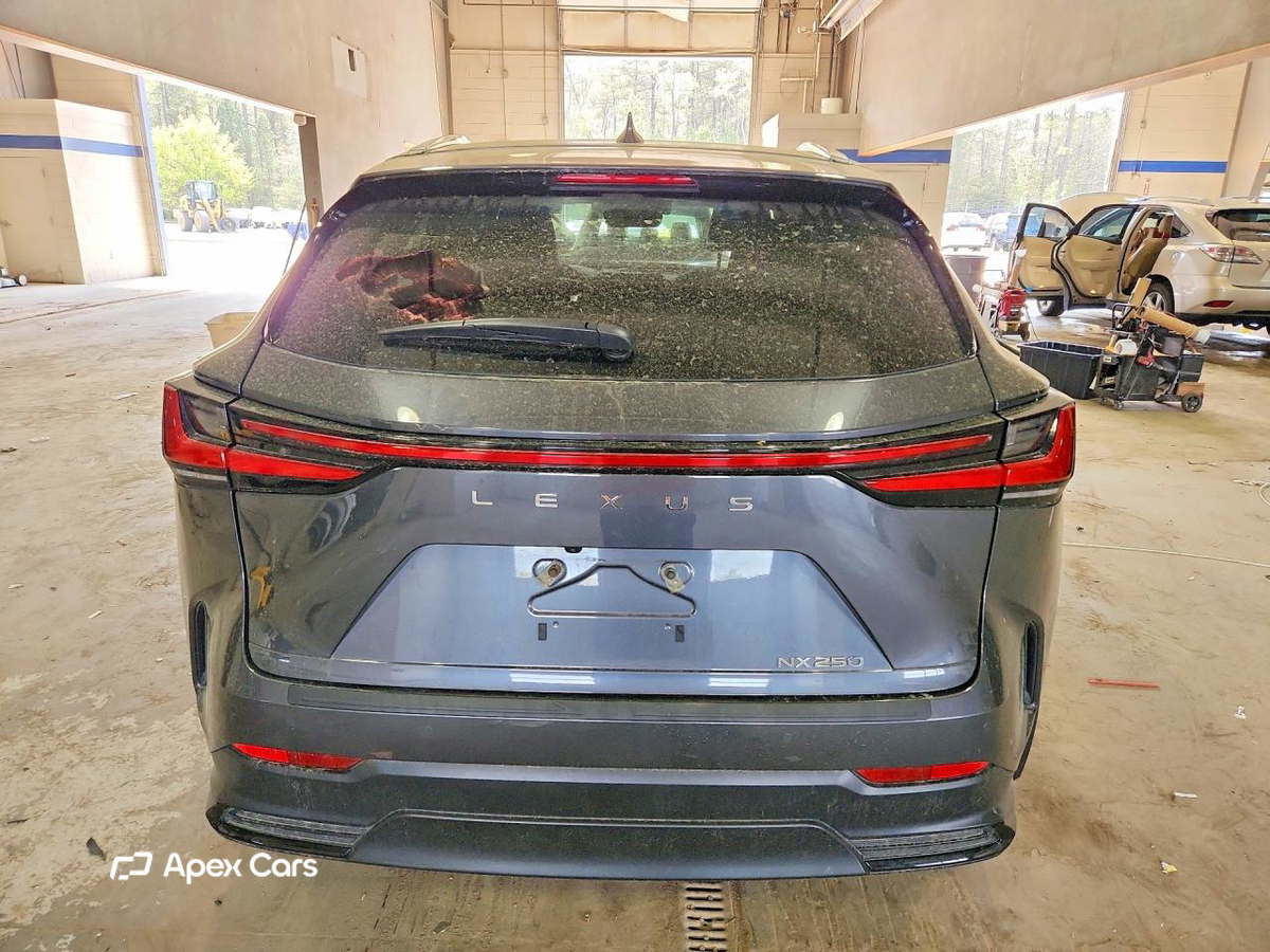 Lexus NX 2025
