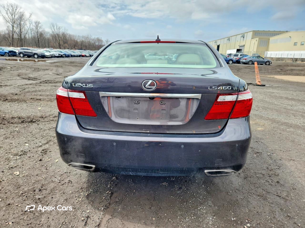 Lexus LS 2008