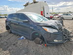 Ford Escape 2015