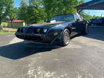 Pontiac Firebird 1981