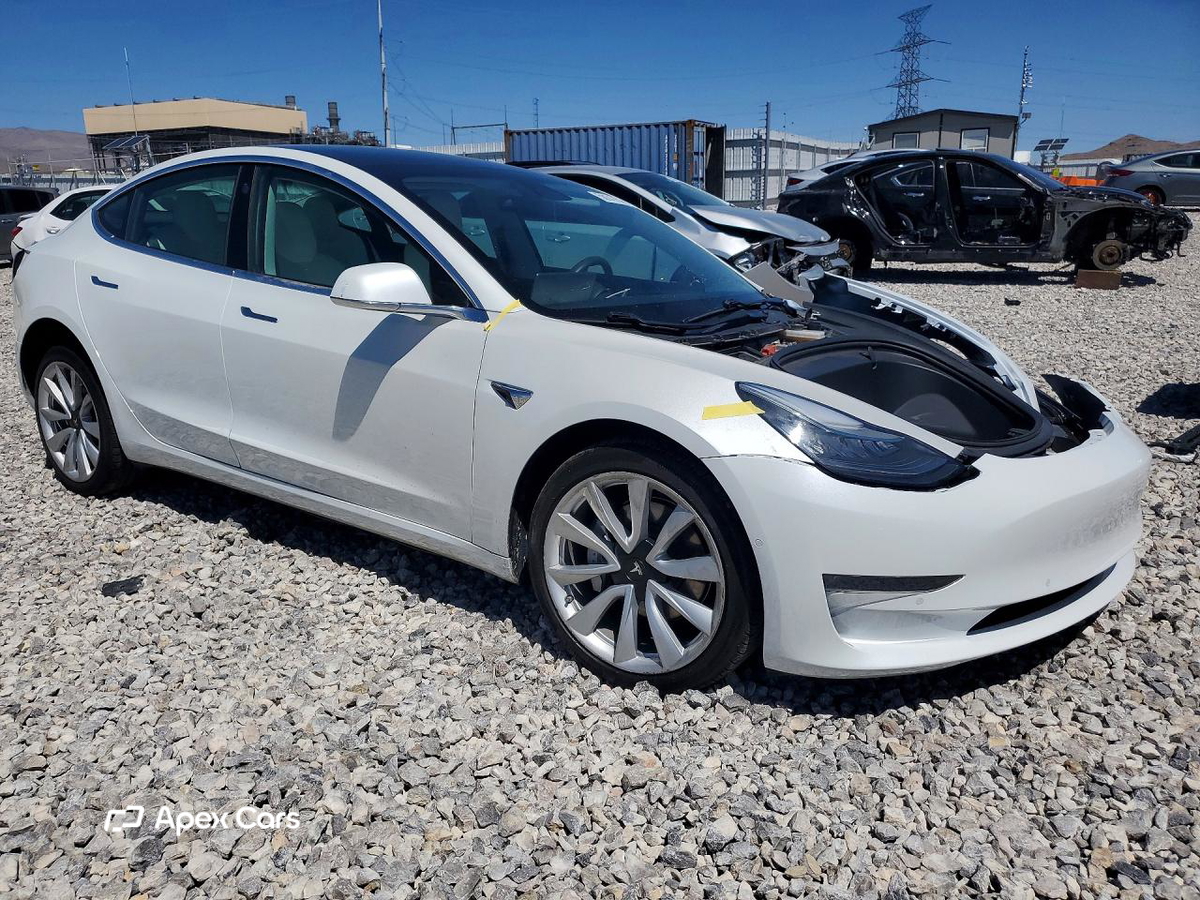Tesla Model 3 2019