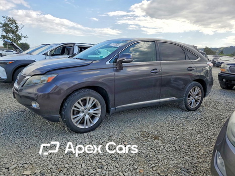 Lexus RX 2010 - Image 1 of 13