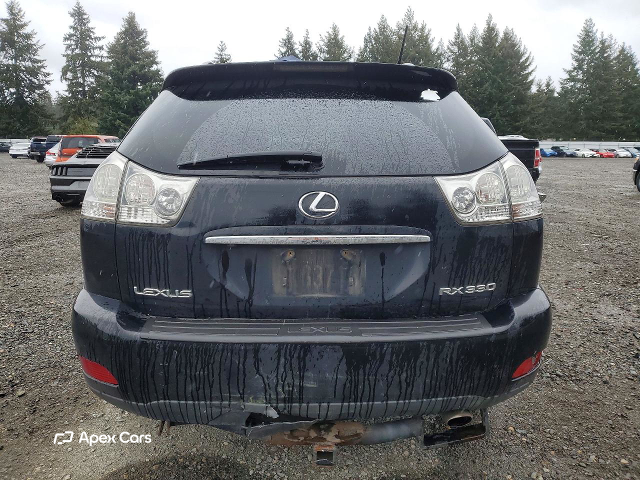 Lexus RX 2006