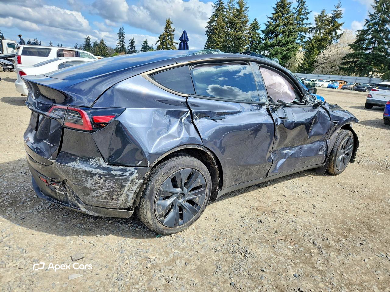 Tesla Model Y 2024