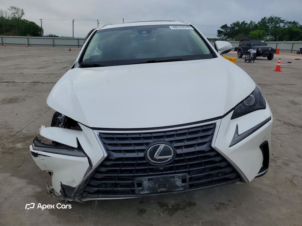 Lexus NX 2019