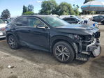 Lexus RX 2024