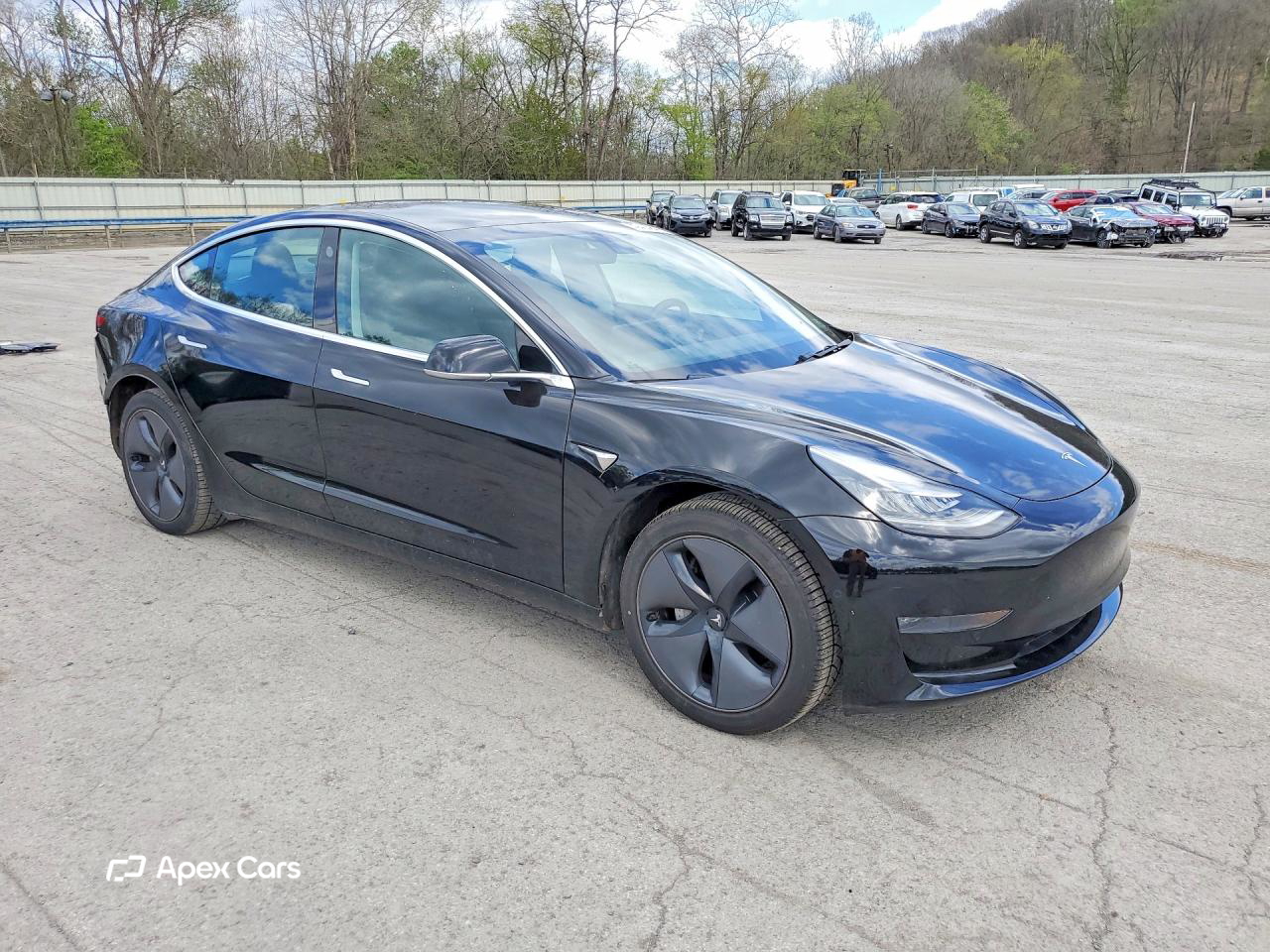 Tesla Model 3 2019