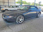 Ford Mustang 2001