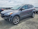 Ford Escape 2013