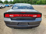 Dodge Charger 2013