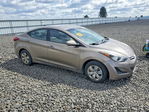 Hyundai Elantra 2016
