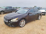 Nissan Maxima 2011