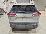 Toyota RAV 4 2024