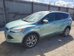 Ford Escape 2013