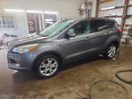 Ford Escape 2013