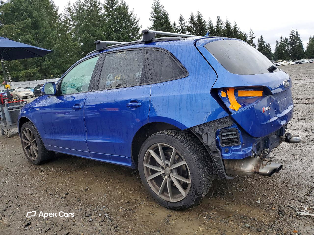 Audi SQ5 2016