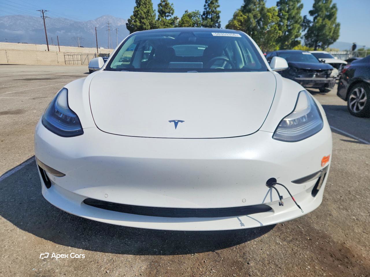 Tesla Model 3 2019