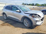 Ford Escape 2020