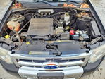 Ford Escape 2012