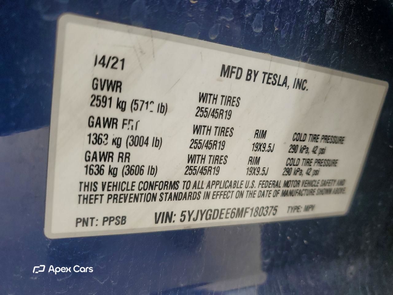 Tesla Model Y 2021