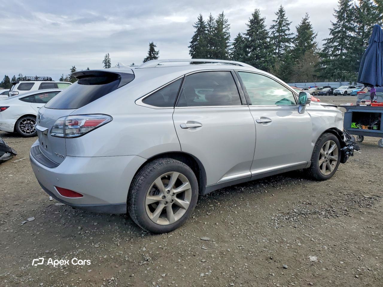 Lexus RX 2010