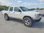 Nissan Navara (Frontier) 2000