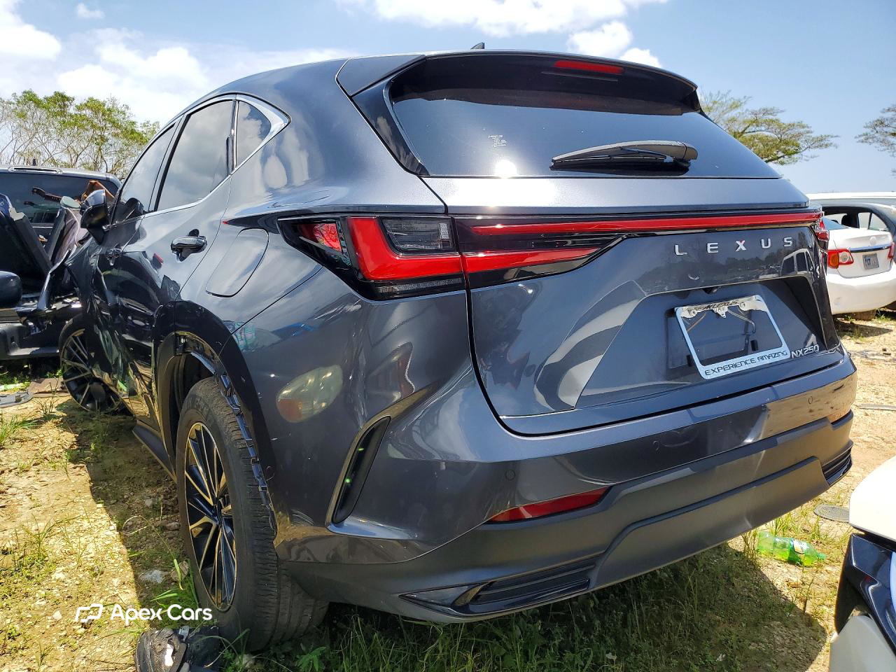 Lexus NX 2024