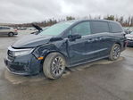 Honda Odyssey 2024