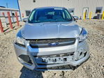 Ford Escape 2016