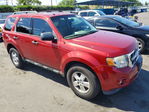 Ford Escape 2012