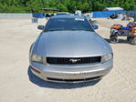 Ford Mustang 2008