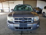 Ford Escape 2008
