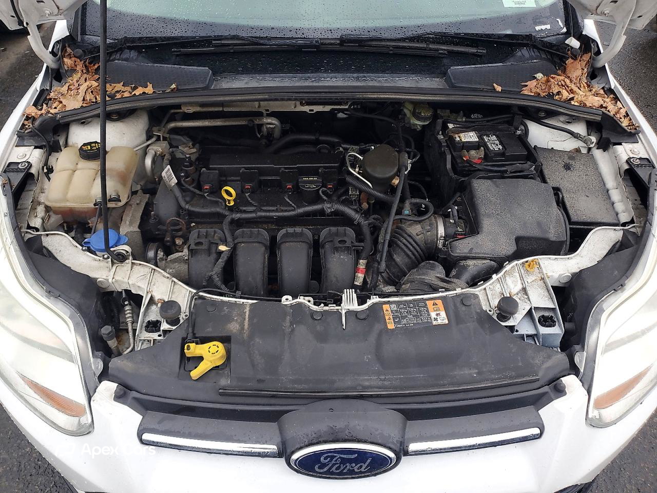 Ford Focus 2014