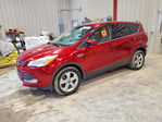 Ford Escape 2013